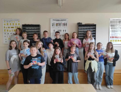 Podsumowanie zajęć kółka plastycznego dla klas IV-VIII